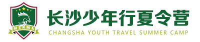 少年行玖人玖产人力资源公司-知乎精选logo